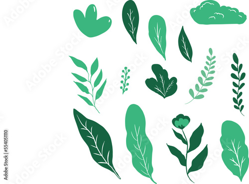 set of green leaves