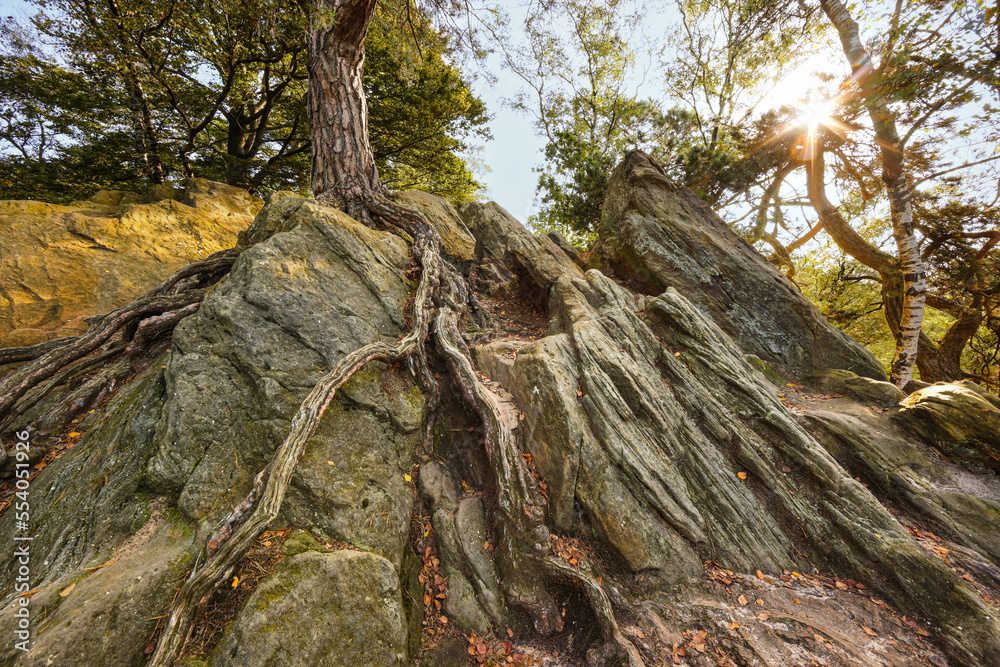 Dörenther Klippen, Teutoburgerwald, Nordreihnwestfalen, kliff Dörenther Klippen, Teutoburgerwald, Nordreihnwestfalen, kliff