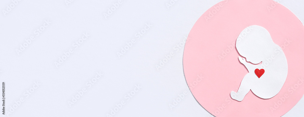 Silhouette of a human embryo with a red heart on a white background. Banner, flat lay, space for text. Silhouette of a human embryo with a red heart on a white background. Banner, flat lay, space for text.