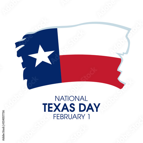 National Texas Day vector. Grunge flag of Texas icon isolated on a white background. Texas State Flag paint brush design element. February 1 each year. Important day