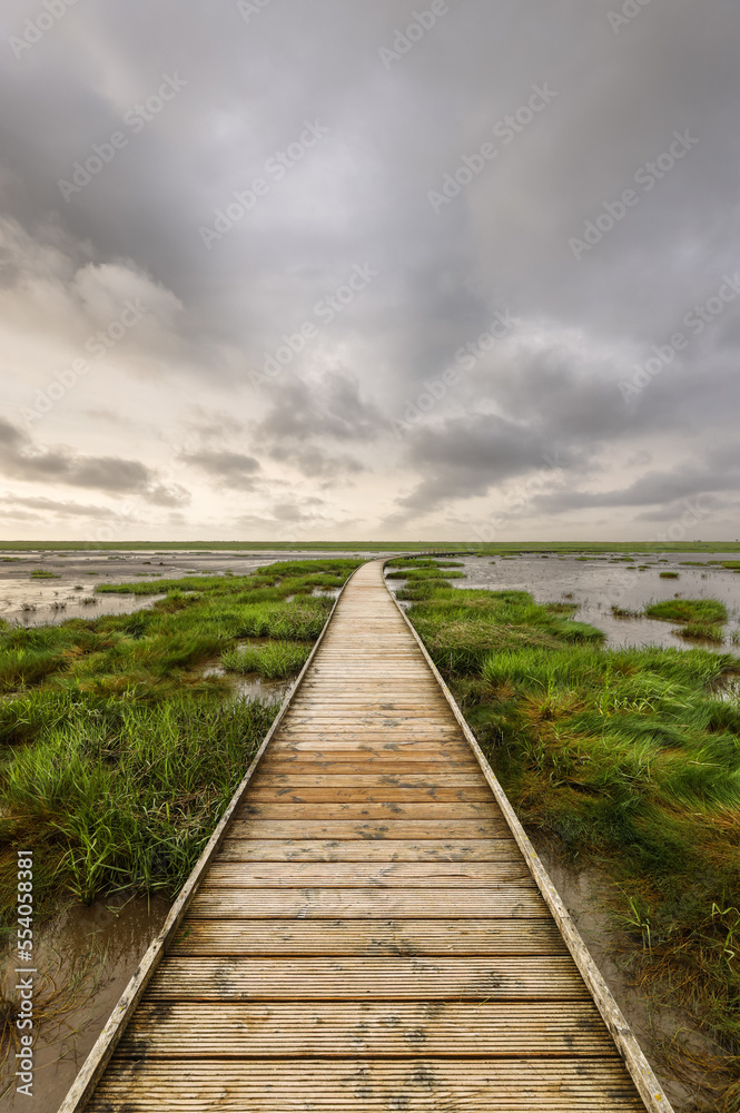Path in salt marshes