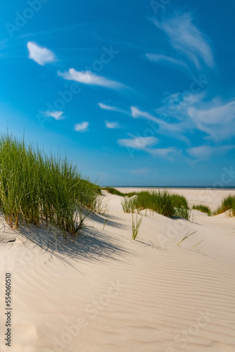 Fototapeta Naklejka Na Ścianę i Meble -  Sandy Beach on Wangerooge island in National Park, natural reserve and World Heritage “Wattenmeer“. North sea in Ostfriesland Germany with dunes and grass is a popular tourist destination.