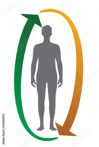 Human thermal regulation temperature. vector