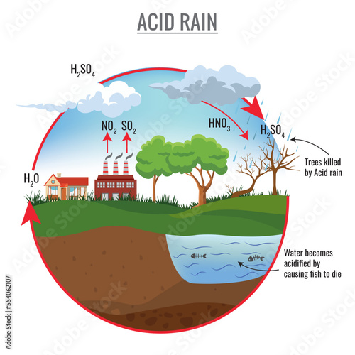 Acid rain cycle in nature vector illustration