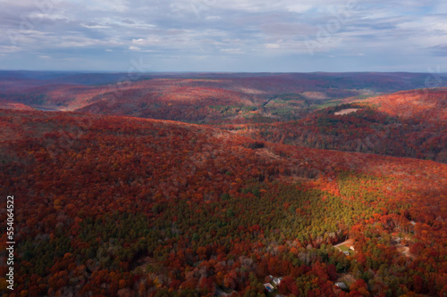Aerial view of Mountain forest in autumn