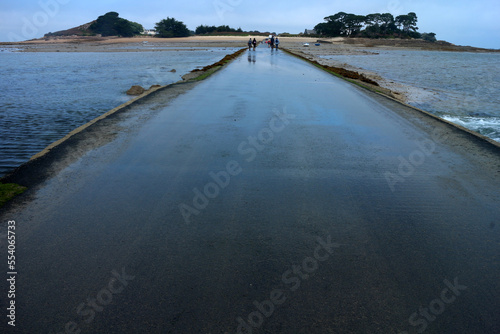 Wallpaper Mural Submersible road linking Carantec to Callot Island - Finistere - Brittany - France Torontodigital.ca