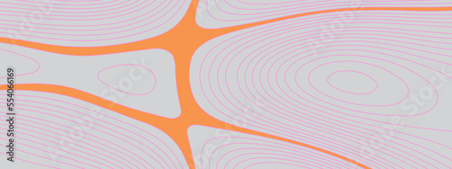 The stylized colorful abstract topographic map with lines and circles background.  Abstract topographic contours map background. Topographic map patterns, topography line map.