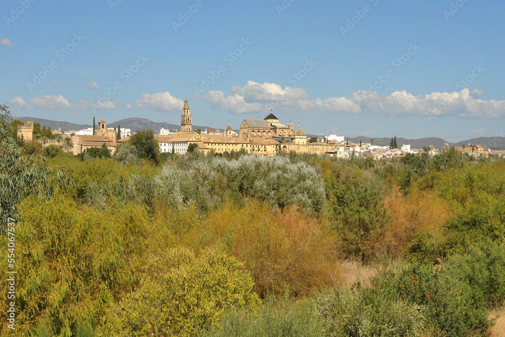 Panorama of the old town of Cordoba in Spain.