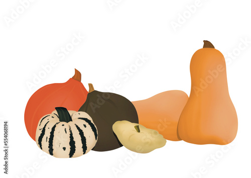 Illustration de citrouille, courge, légumes variés d'automne et hiver. Orange, jaune, vert pour soupe. Image avec fond transparent