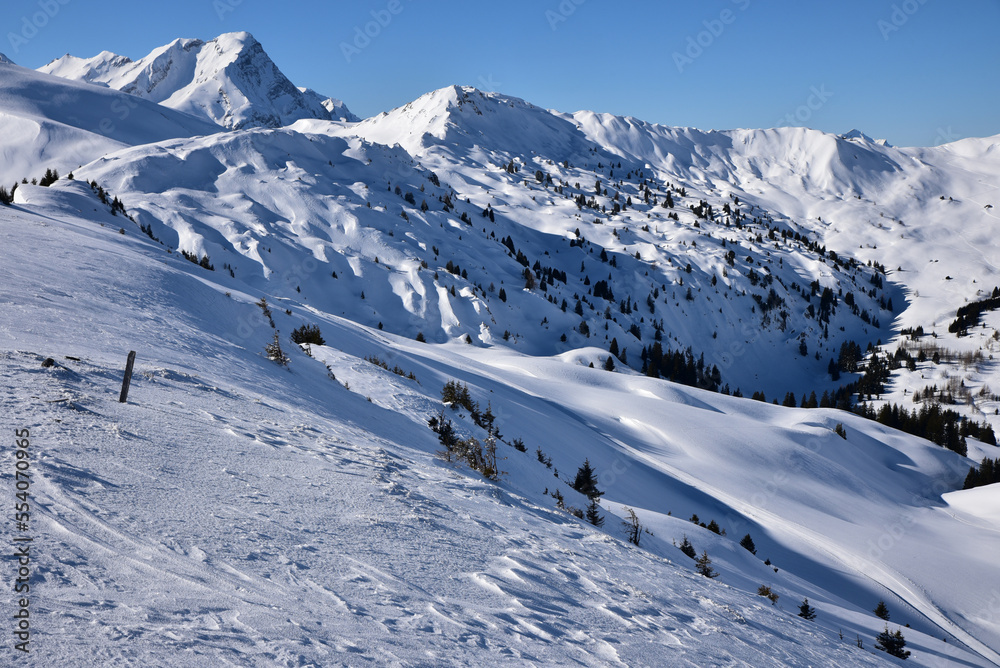 Pics enneigés de l'Oberland bernois. Suisse