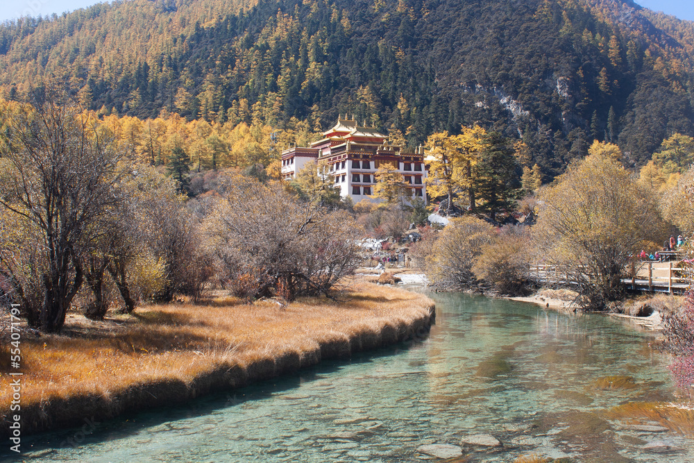 Obraz premium Chonggu meadow, Yading National Nature Reserve 