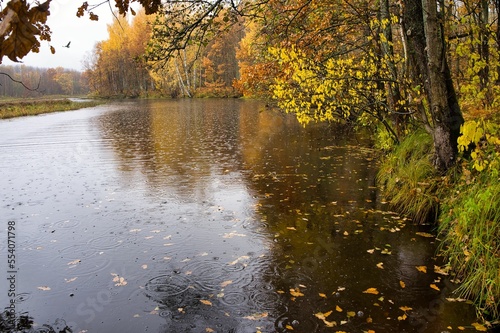 river in autumn