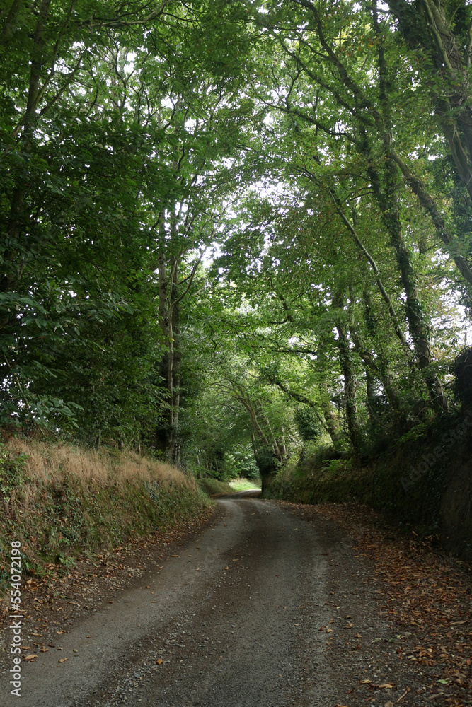 Countryside around Plougonven - Morlaix - Finistere - Bretagne - France