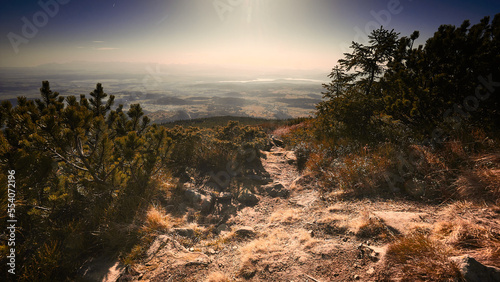 Fototapeta Naklejka Na Ścianę i Meble -  Climatic lmountain landscape with path, trees, mountains and sky with sun.