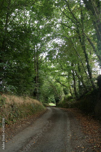 Countryside around Plougonven - Morlaix - Finistere - Bretagne - France