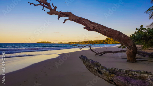 plaża w tropikach