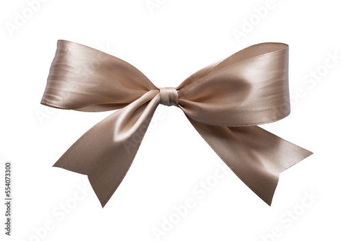 Elegance bow for wrap gift box and ornament. Shiny brown ribbon isolated background