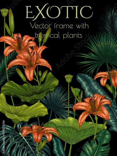Vector frame with tropical plants. Graphic linear colored tropical flowers and leaves. Monstera, orange lilies, palm and banana leaves	