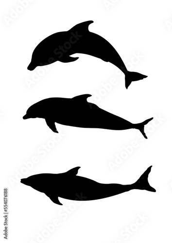 silhouettes of dolphins