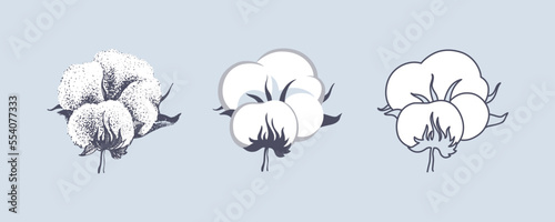 Organic cotton stylized icon set