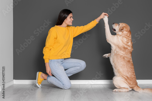 Wallpaper Mural Cute Labrador Retriever giving paw to happy owner near grey wall indoors Torontodigital.ca