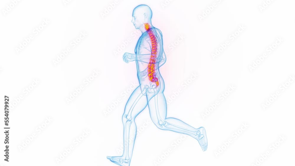 3D medical animation of a man experiencing back pain while jogging 3D medical animation of a man experiencing back pain while jogging