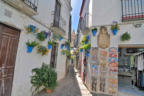 Fototapeta Naklejka Na Ścianę i Meble -  Streets of the old town of Cordoba, Spain