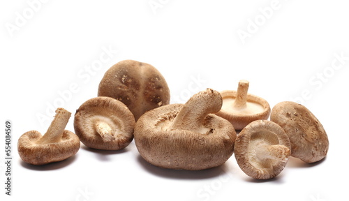  Fresh shiitake mushroom pile isolated on white photo