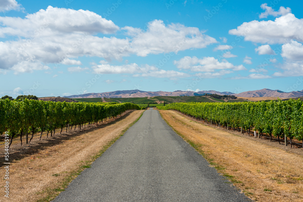 Straße zwischen den Weinbergen in Neuseeland mit blauem Himmel. Straße zwischen den Weinbergen in Neuseeland mit blauem Himmel.