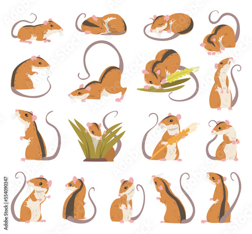 Field Mouse as Small Rodent with Long Tail and Dorsal Black Stripe Big Vector Set