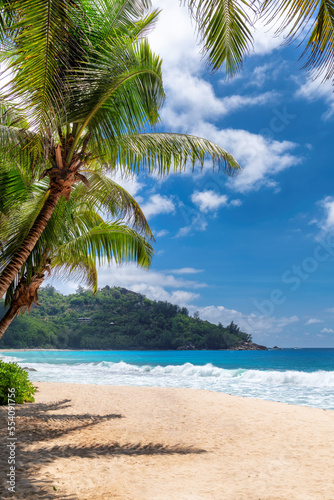 Fototapeta Naklejka Na Ścianę i Meble -  Beautiful tropical beach with palms and turquoise sea in Jamaica island. Summer vacation and tropical beach concept.