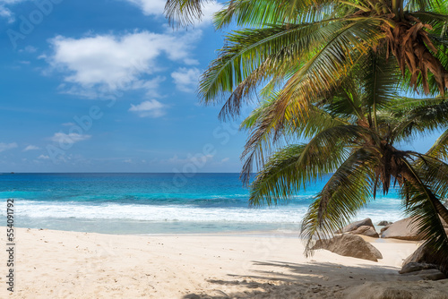 Fototapeta Naklejka Na Ścianę i Meble -  Sunny tropical beach with palms and the turquoise sea on Caribbean island. Summer vacation and tropical beach concept.