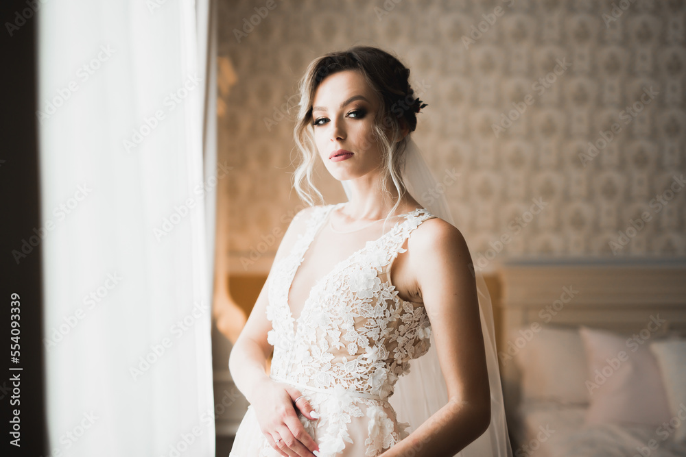 Gorgeous bride in robe posing and preparing for the wedding ceremony face in a room Gorgeous bride in robe posing and preparing for the wedding ceremony face in a room
