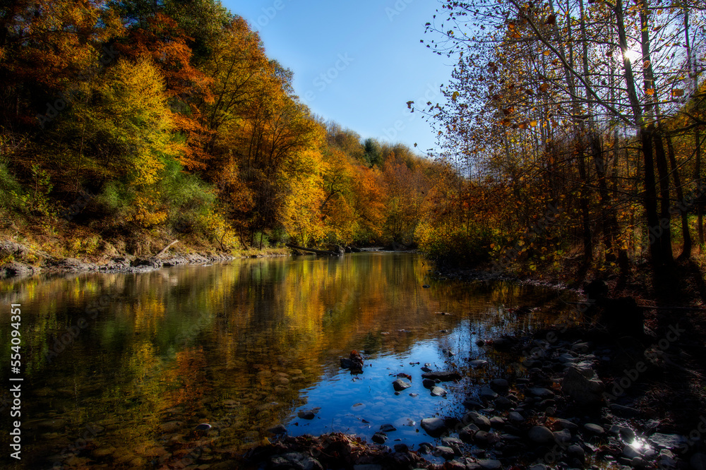 Fototapeta premium Fall along the stream South Branch