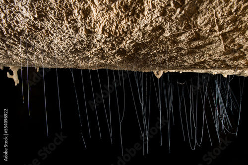 Silkworms have spun delicate hair like threads that drape down from the ceiling of Langs Cave.; Gunung Mulu National Park, Sarawak, Borneo, Malaysia. photo
