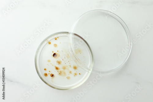 Petri dish with culture on white marble table, top view