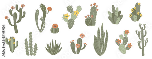 Cute cacti and succulents set. Blooming cactus