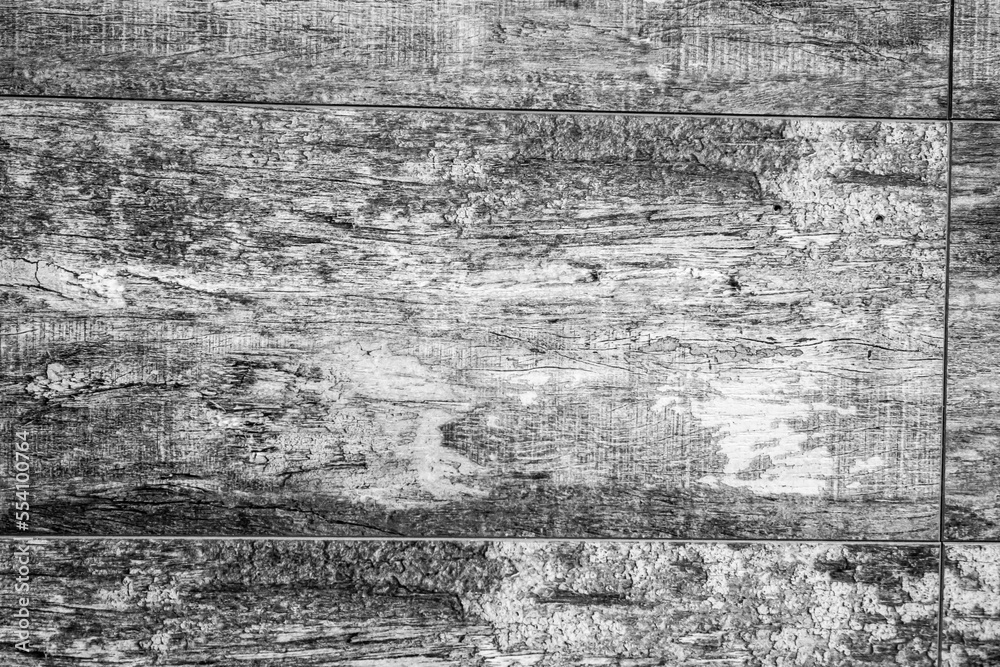 Obraz premium texture old tree. wood surface. old wood planks background