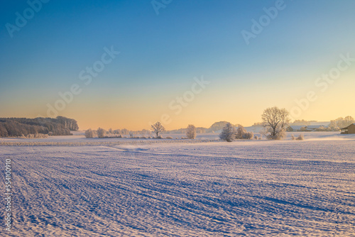 German winter landscape during sunrise.  photo