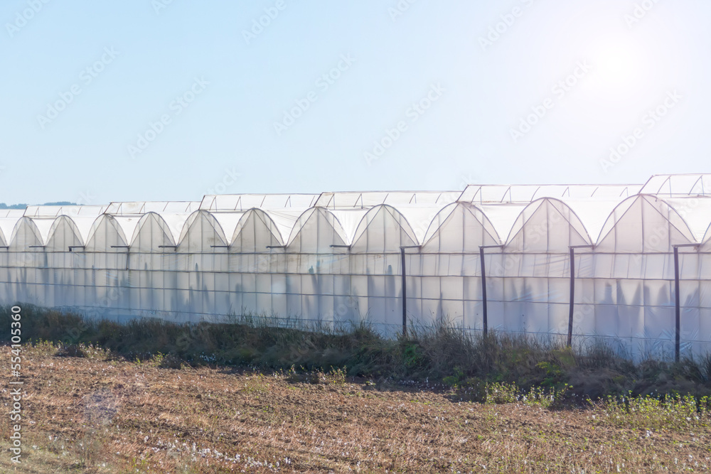 View of a typical landscape with large greenhouses for growing fruits and vegetables, in particular bananas. Agro-industrial complex of the country. View of a typical landscape with large greenhouses for growing fruits and vegetables, in particular bananas. Agro-industrial complex of the country.