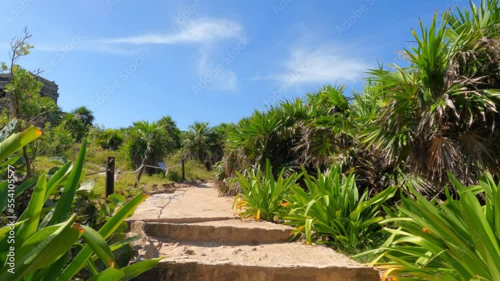 Walk through the colorful jungle in the archaeological zone of Tulum, Mexico. Caribbean coast. Steadicam slow motion footage. Walk through the colorful jungle in the archaeological zone of Tulum, Mexico. Caribbean coast. Steadicam slow motion footage.