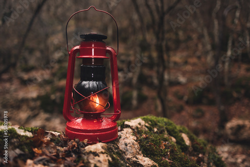 A red kerosene lantern in the autumn forest. Old kerosene lamp. © Yana Grebelnikova