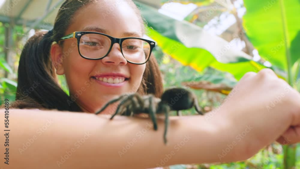 Animals, nature and girl with spider on arm for education, learning and fun on school trip to the zoo. Happiness, wildlife and closeup of tarantula on child excited for danger, creepy and exotic pet