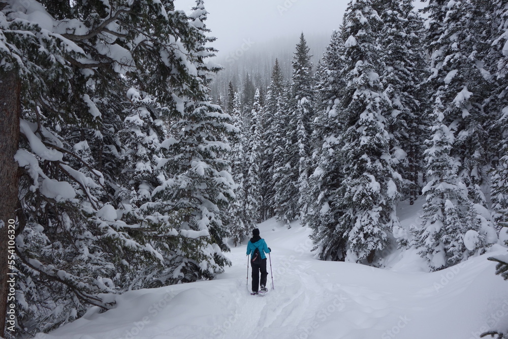 Snowshoeing in Snowy Forest
