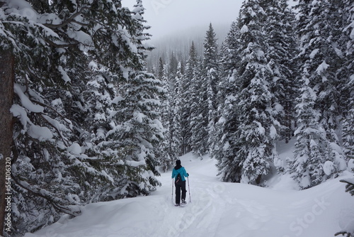 Snowshoeing in Snowy Forest