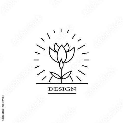 Flower logos emblems design templates set with botanical plants and rose vector illustrations minimal linear style. Outline symbols for cosmetics and packaging or floral products branding © ageng