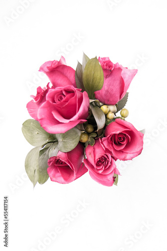 Pink Roses