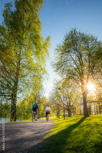 people riding a bike in a park at the sunset during spring