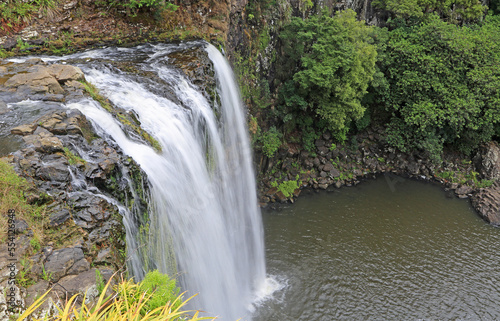 View at Whangarei Falls - New Zealand