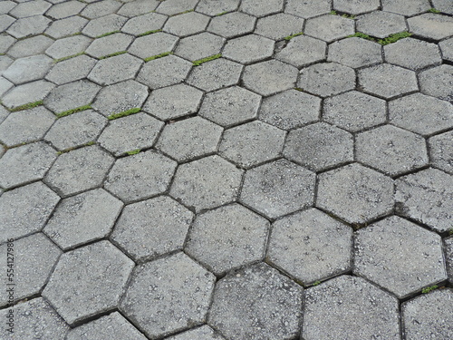 Hexagonal mosaic pavement